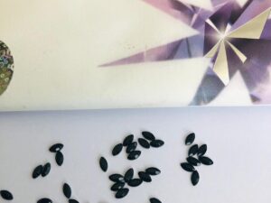 10pcs Tooth Gems Preciosa® Horse Eye Jet Black Lead-Free Gems Non hotfix foiled 2x4mm Rhinestones Flatbacks Make your Tooth Butterfly