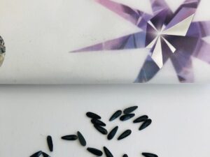 10pcs Tooth Gems Preciosa® Jet Drops 2x6mm Lead-Free Crystal Gems Non hotfix foiled Austrian Rhinestones Flatbacks