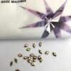 10pcs Tooth Gems Preciosa® Aurum Gold Diamond 5x3mm Lead-Free Crystal Gems Non hotfix foiled Austrian Rhinestones Flatbacks