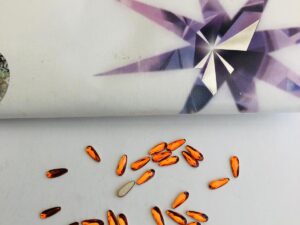 10pcs Tooth Gems Preciosa® Orange Drops 2x6mm Lead-Free Crystal Gems Non hotfix foiled Austrian Rhinestones Flatbacks